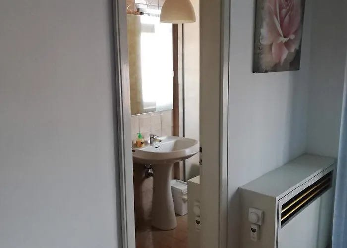 Amendola بولونيا